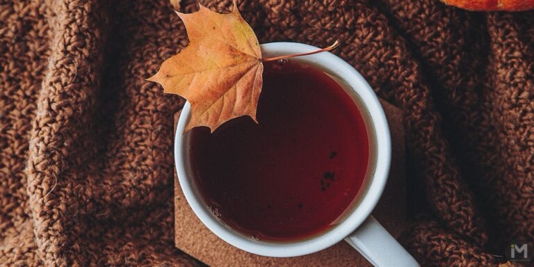 autumn, tea cup, cosy blanket, study